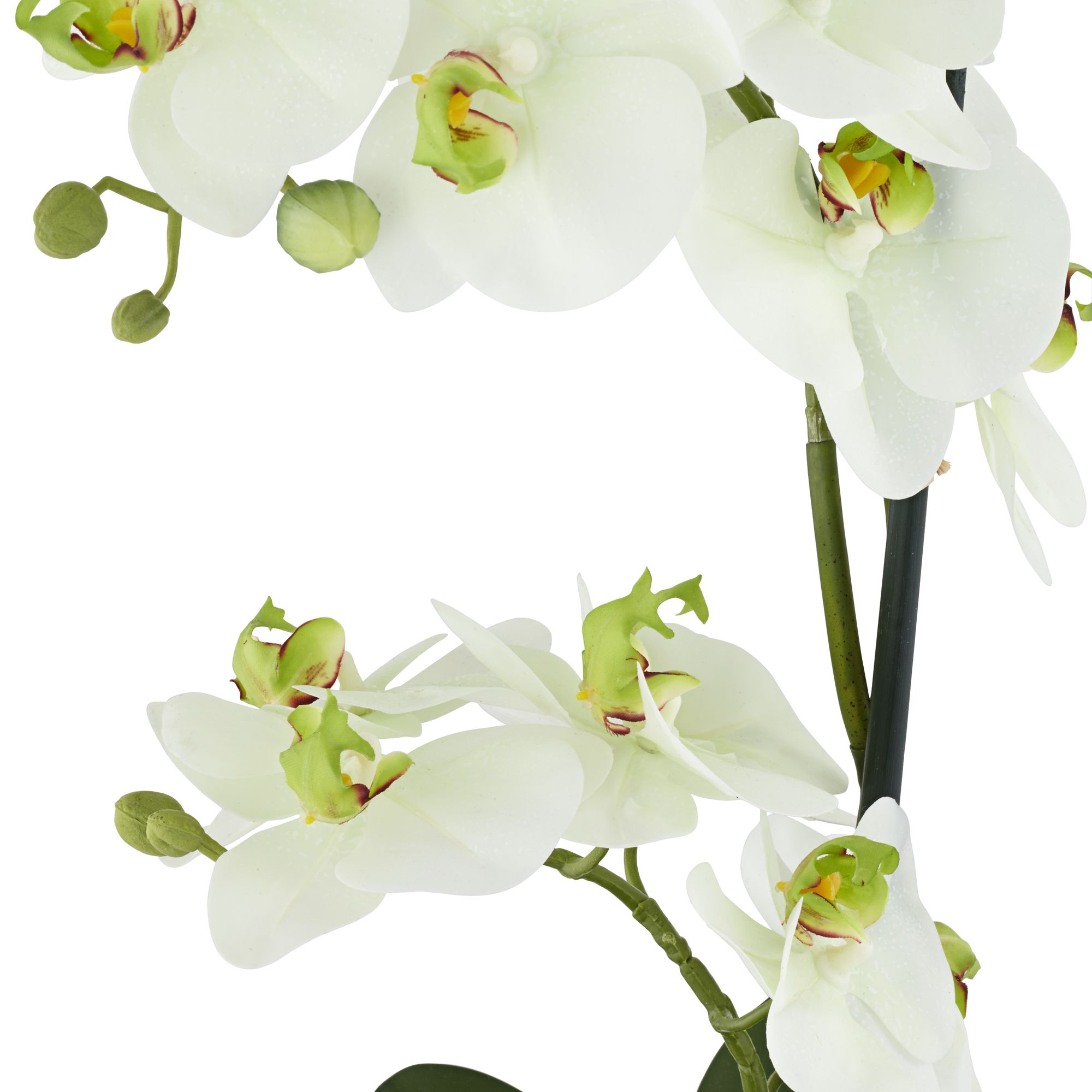 White Phalaenopsis 21 1/2" High Faux Orchid in White Ceramic Pot