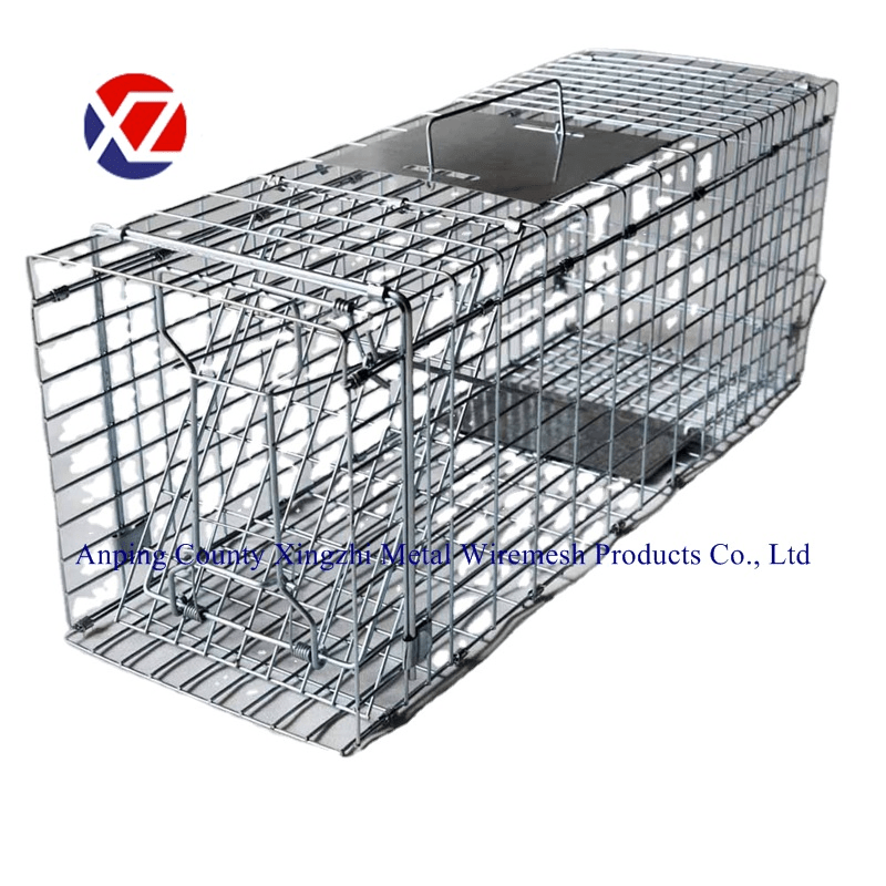 Humane Live Animal Catch Hare Rabbit Trap China Animal Trap Cage and