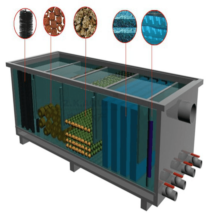 Customized Biofilter Aquaculture Ras Pond Biological Bio Filter System Aquarium Filter Box and