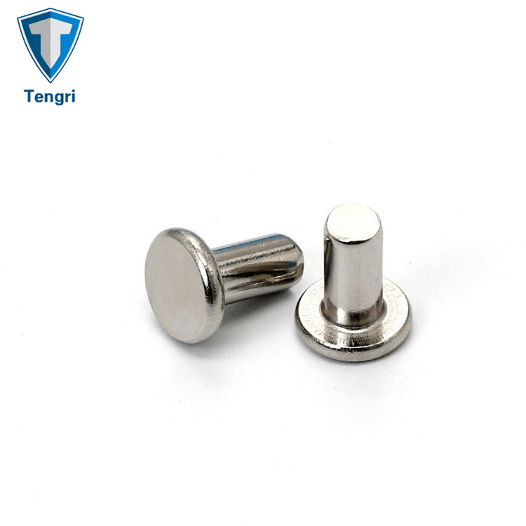Customized Stainless Steel Rivets Flat Head Solid Rivet Boat Rivet