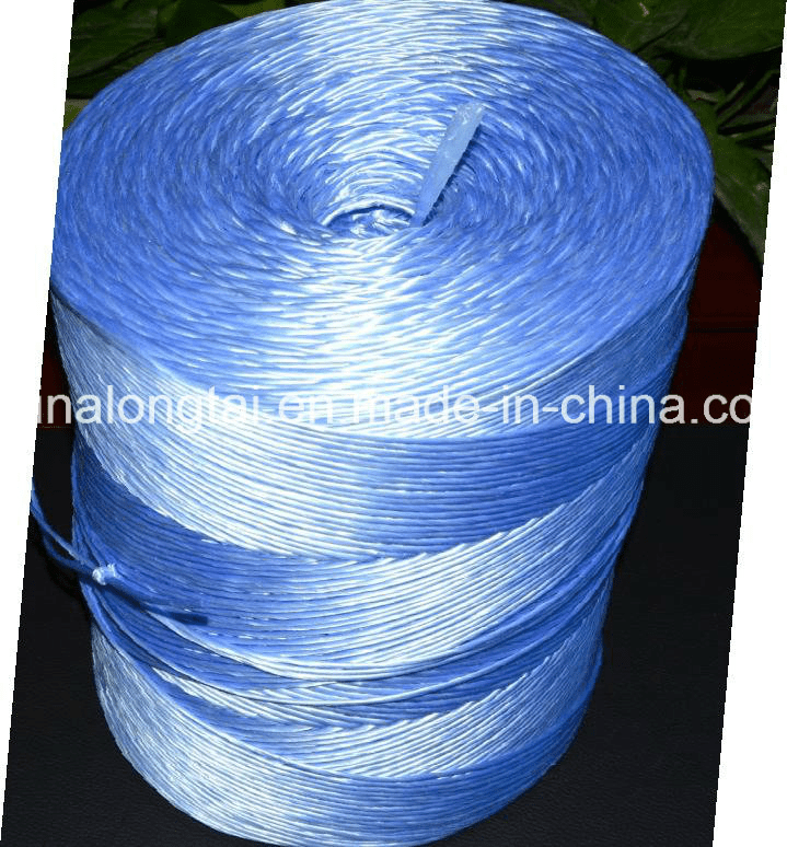 China PP Plastic Packing Rope China Plastic Rope Ball and Plastic