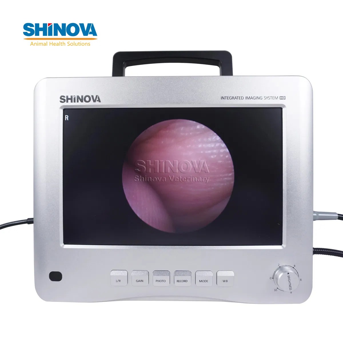 Portable Integrated Camera Systems Mobile HighDefinition Endoscopic
