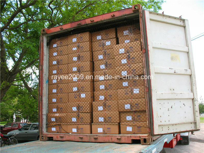 China Container Safety Net /Container Cargo Net /Container Net China