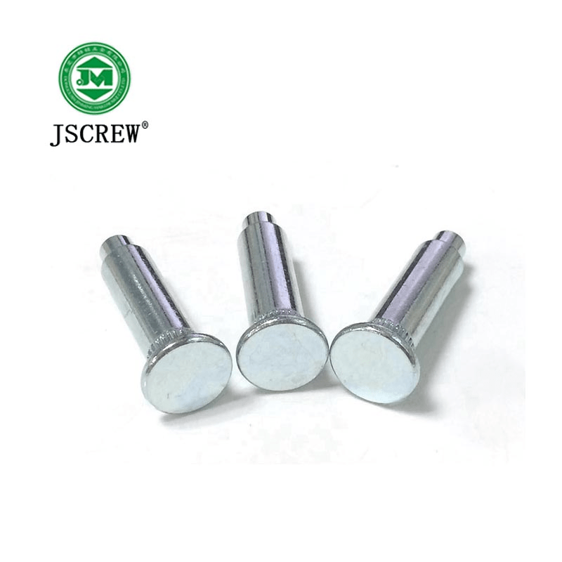 Types of Rivets Stainless Steel Rivet China Rivet and Flat Head Rivet