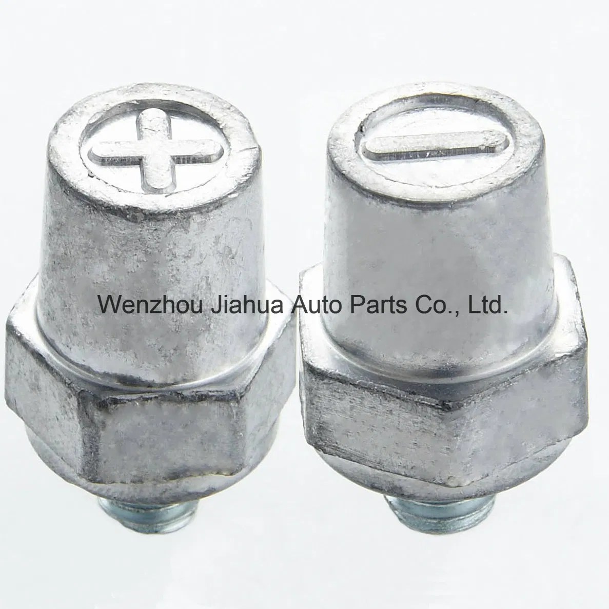 Positive & Negative Battery Terminal Charging Post China Battery