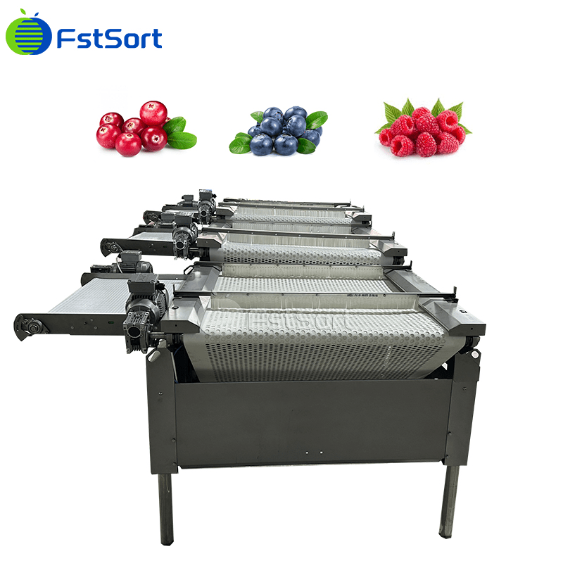 3+1 Grade Blueberry Sorting Machine, Blueberry Grading Machine