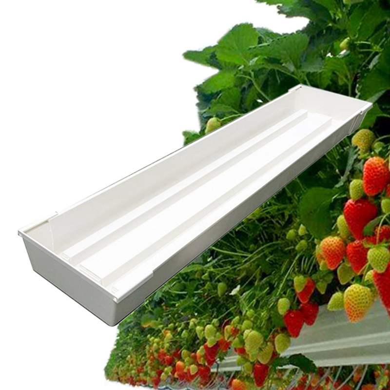 Hydroponic Substrate Strawberry Gutter Cultivation Gutter System