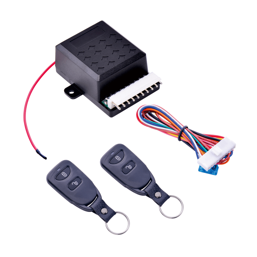 Keyless Enter System Remote Control Programming Car Alarm China Car