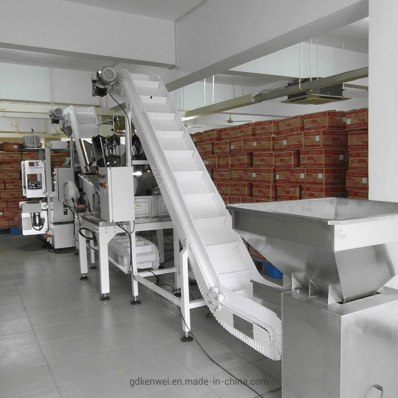 Food Packing Machine for Chip Double Feeding Vertical Packaging System