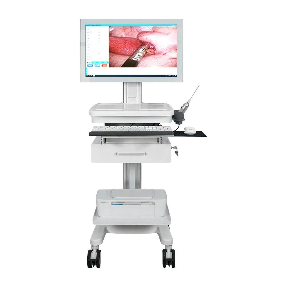 New Ent Endoscope Imaging System Endoscopy Video Processor Rigid