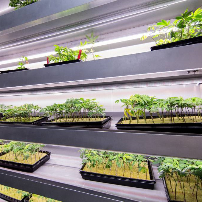 Greenhouse Hydroponic System Ebb and Flow Tray Flood Table Grow Rack