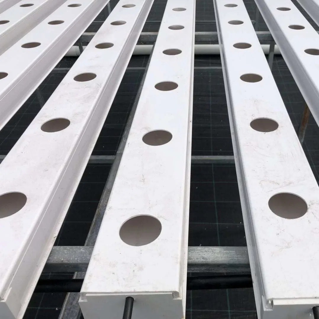 Hydroponics Irrigation PVC Nft Channel System China Hydroponics