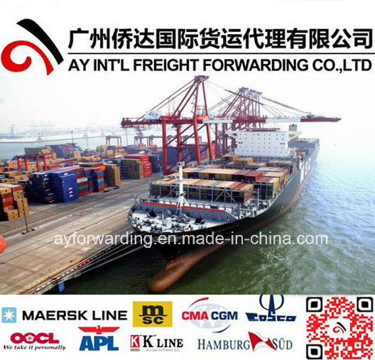 Shipping Container to Costa Rica China Sea Freight and Ocean Freight