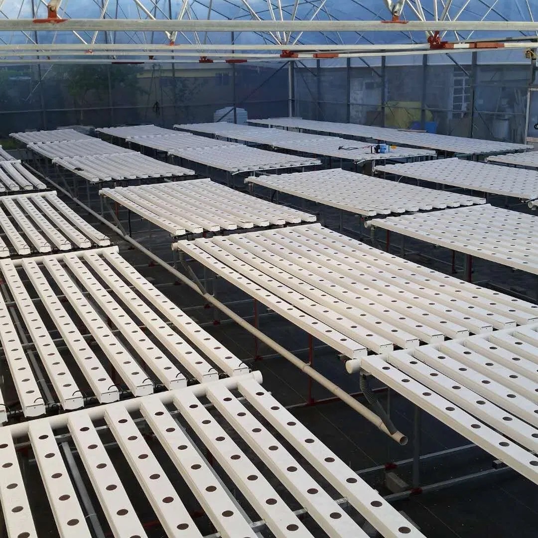 PVC Greenhouse Nft Hydroponic PVC Pipe Growing Lettuce System China