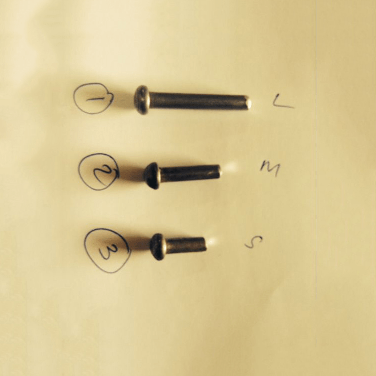 Factory Rivets Blind Sealing Plug Rivet for Fastening China Rivet and