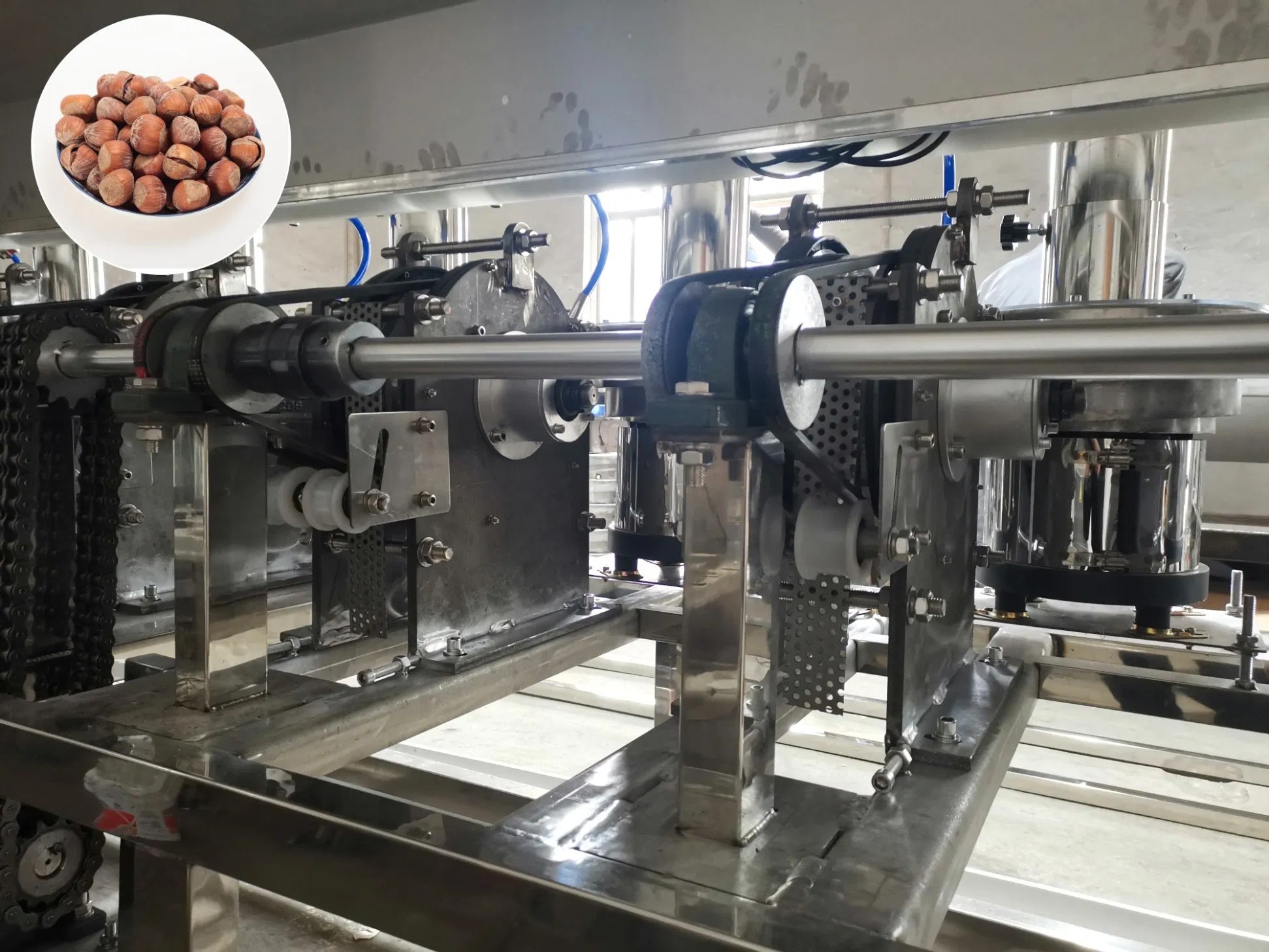 Hazelnut Cracking Machine Cracking Nuts Processing Machine Hazelnut