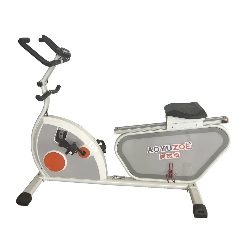 Basic Customization Gym Fitness Resistance Rower Bike Multifunction