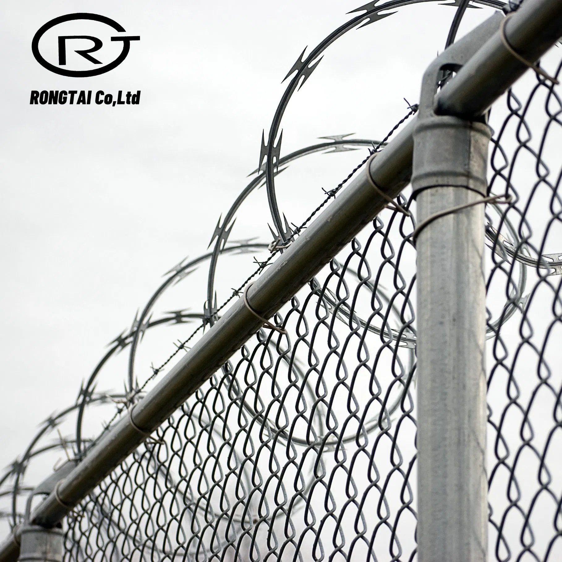 Razor Wire Fence/ Razor Barbed Wire/ Galvanized Concertina Razor Wire