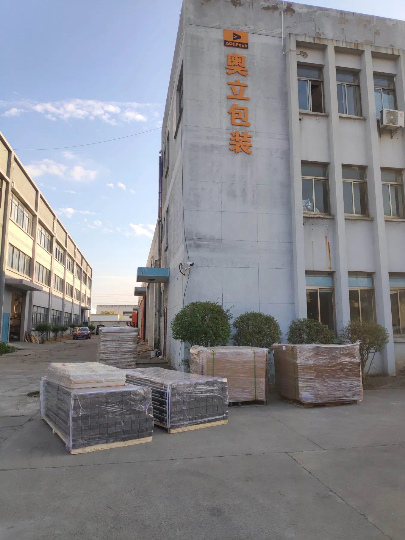 Factory Price Adjustable Ratcheting Container Stabilizer Cargo