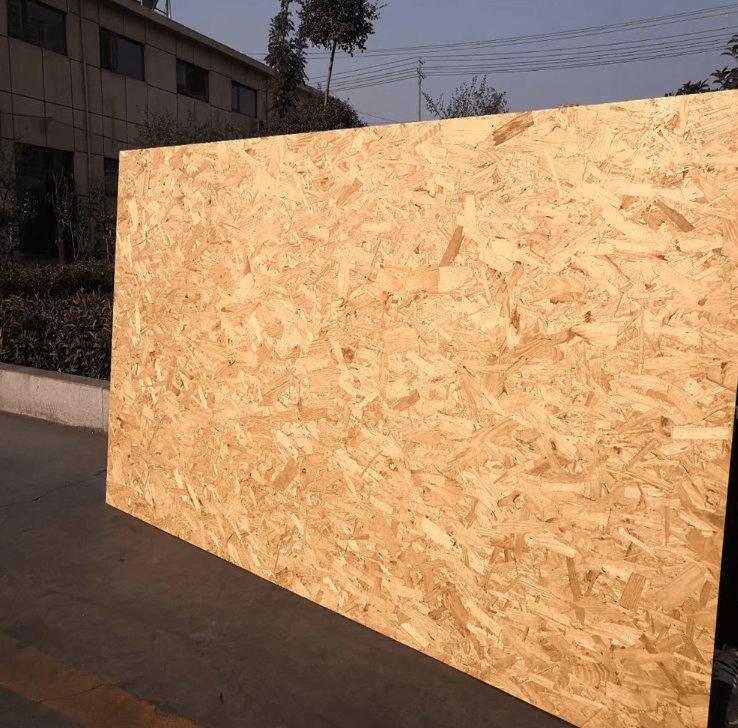 Cheap OSB Plywood Rocplex/OSB Panel China OSB and OSB Board