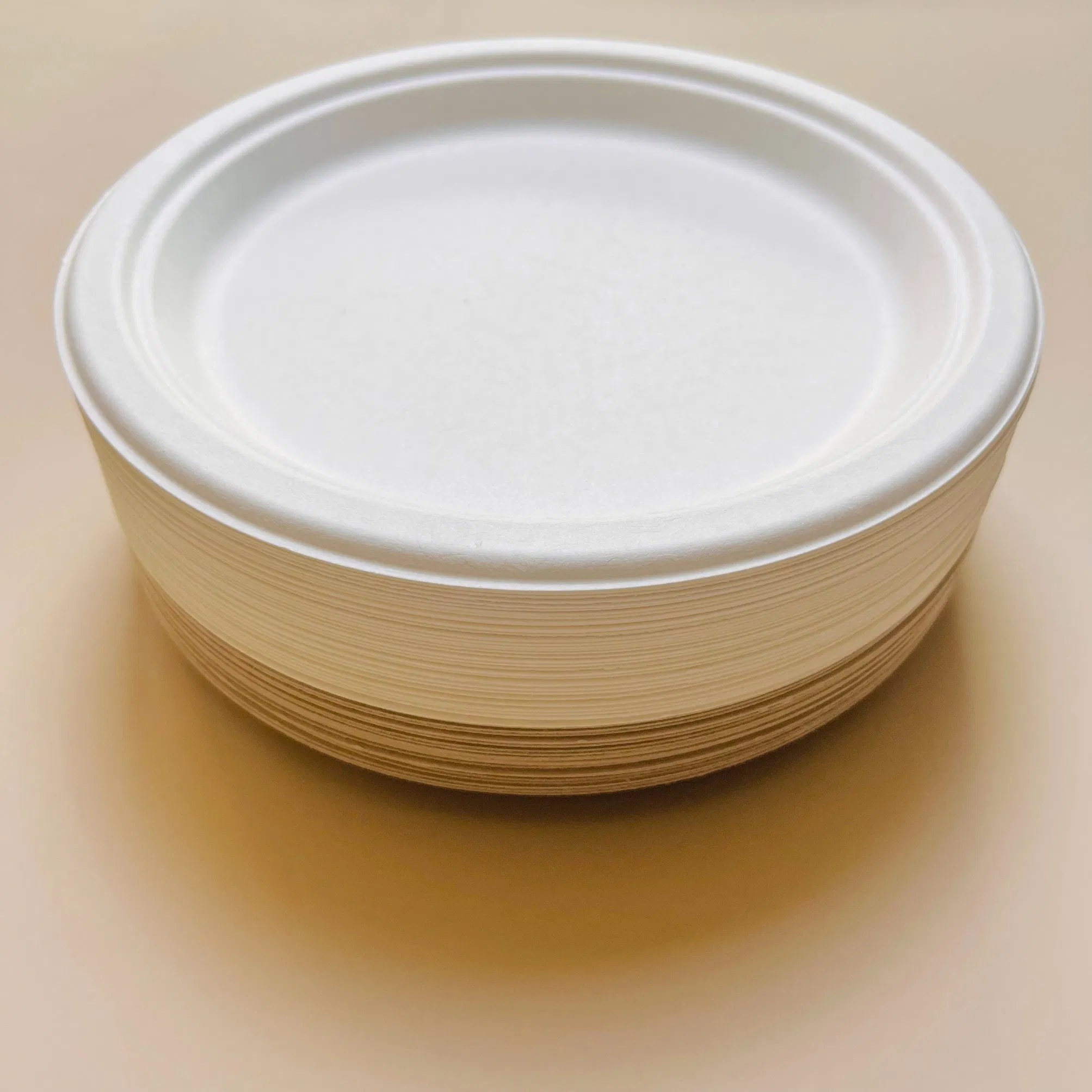 Compostable Disposable Bagasse Plate Multiple Inch Natural Fiber Plate