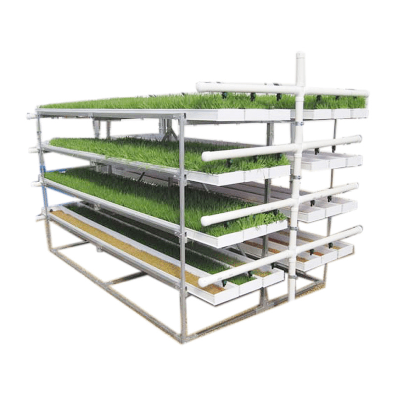 Microgreen Rack Hydroponic Fodder Tray System China Microgreen Fodder