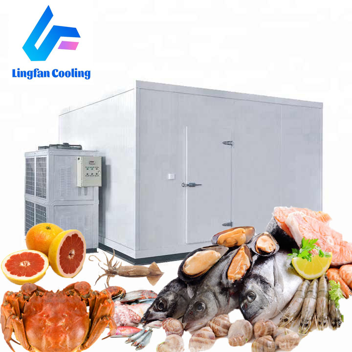 Meat Freezer Freezer China Cold Storage and Solar Refrigerato