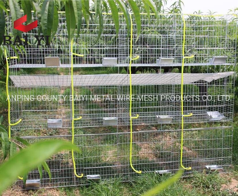 Luxury Indoor Rabbit Farming Cage System China Luxury Rabbit Cage and