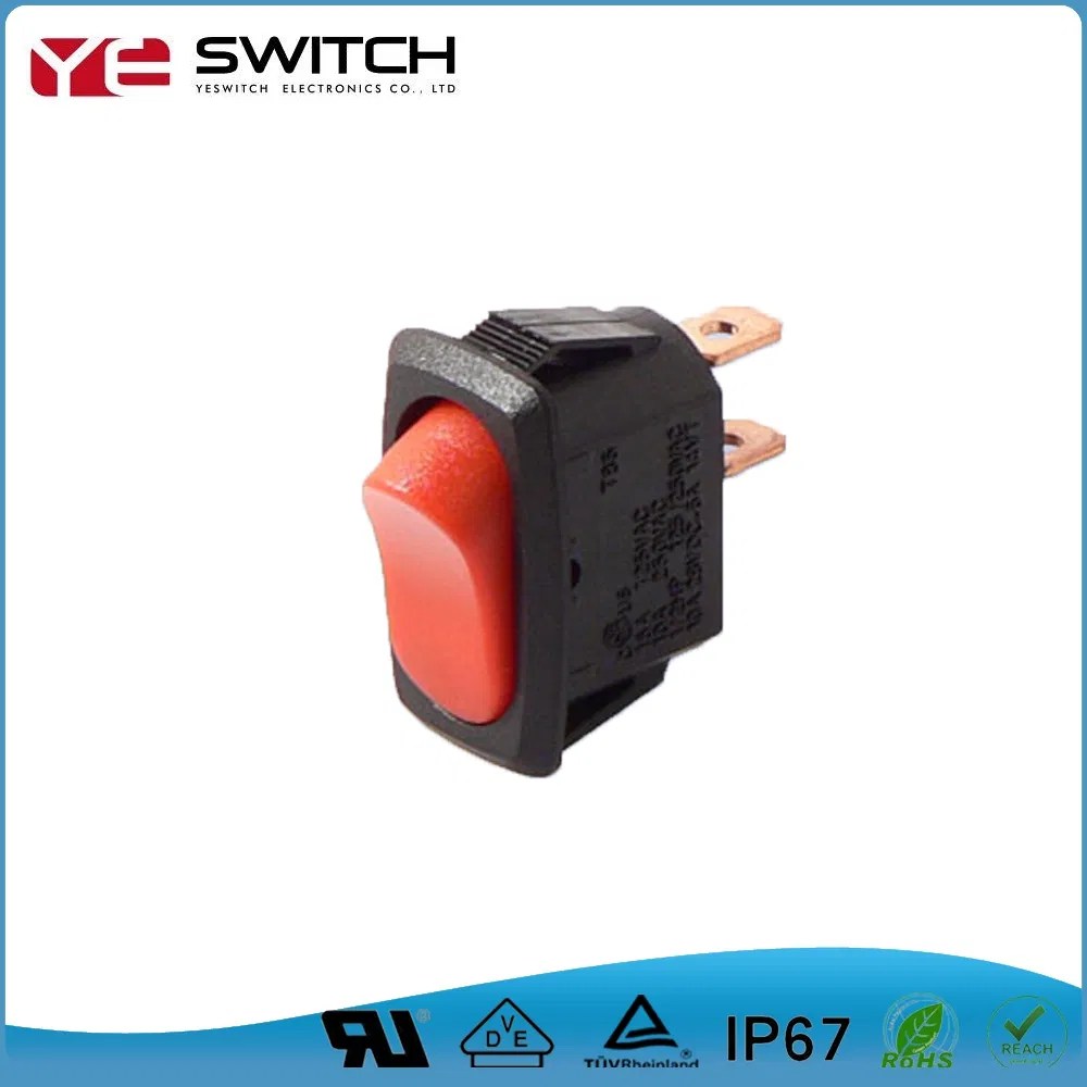 2 Position Momentary Rocker Switch with Without LED - China Automotive