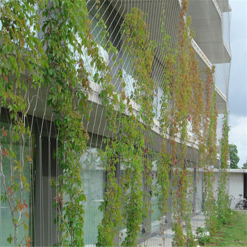 Stainless Steel Rope Mesh Green Wall System Wall System and Stainless