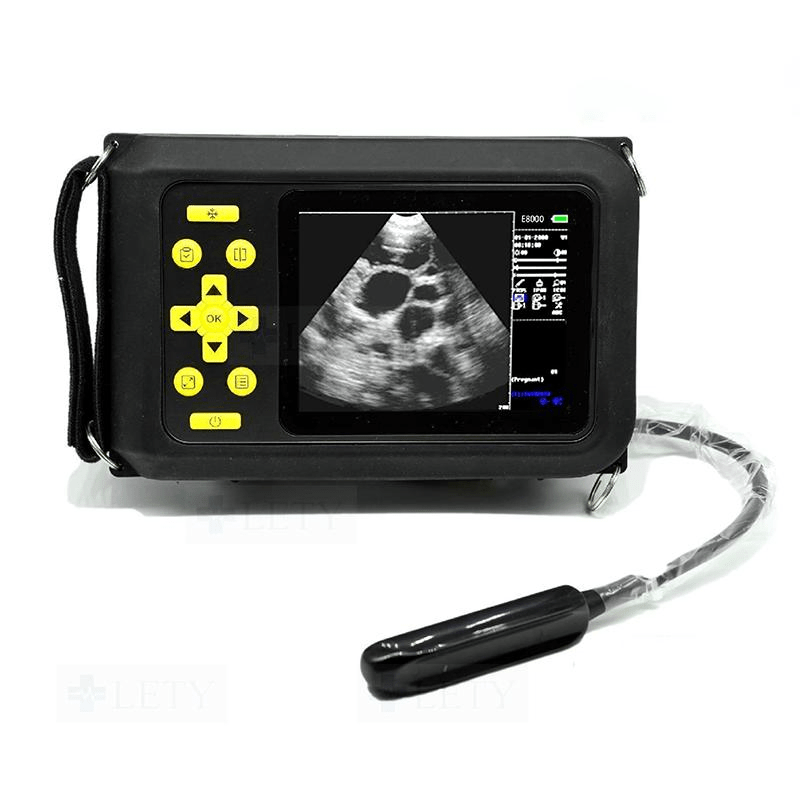 Cheapest Handheld Veterinary Ultrasound Vet Ultrasonic System