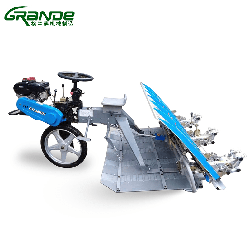 Riding Type Rice Transplanter 8 Rows Rice Planter with Cheap Price