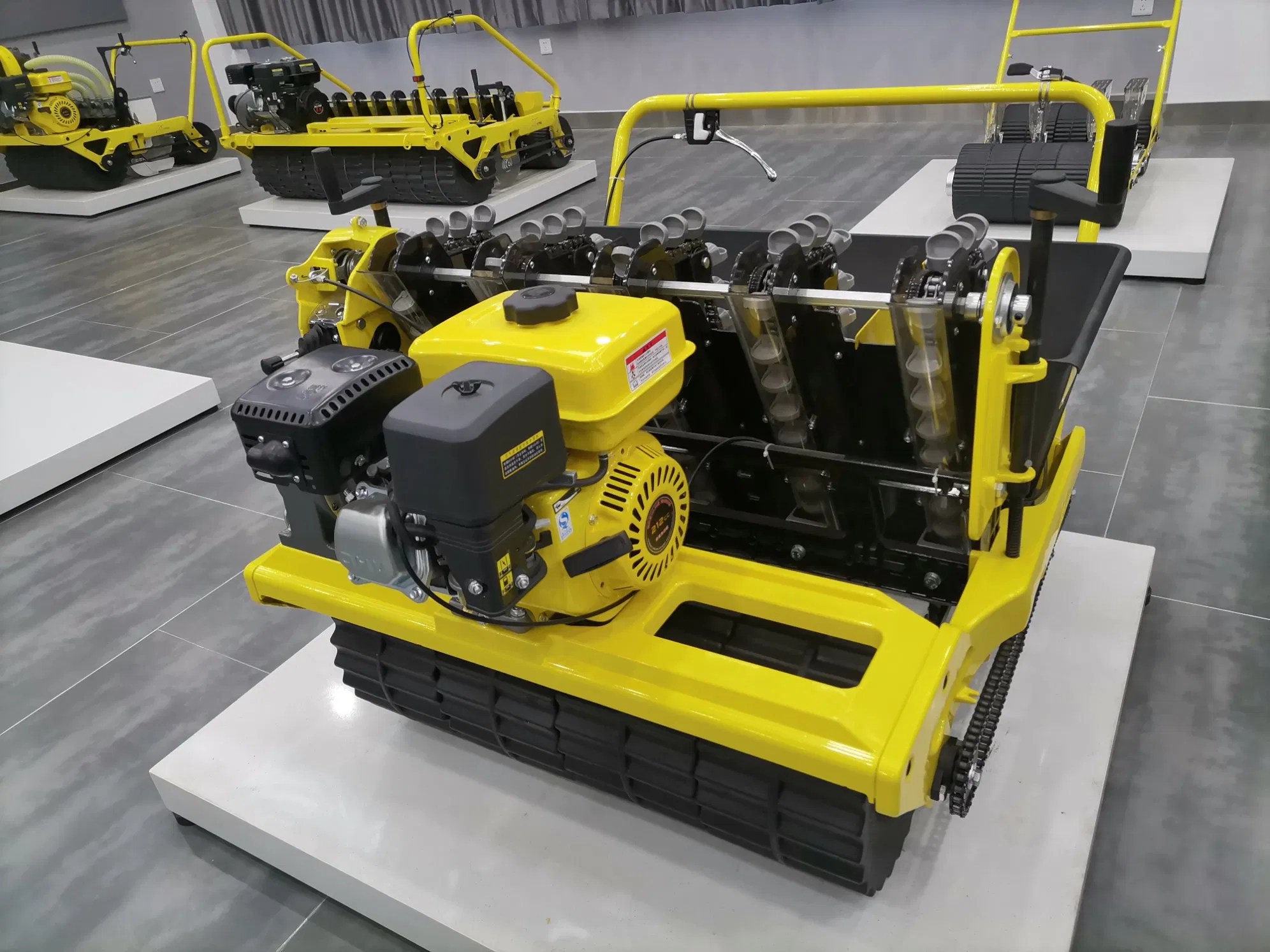 10 Rows Garlic Planting Machine China Garlic Planter and Agricultural