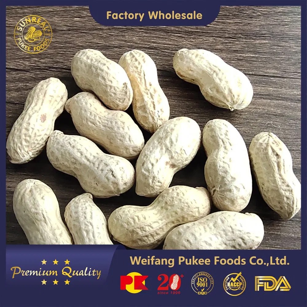 Raw Java Peanut in Shell From China New Crop for Boiling/Frying/Roasting China Healthy Food