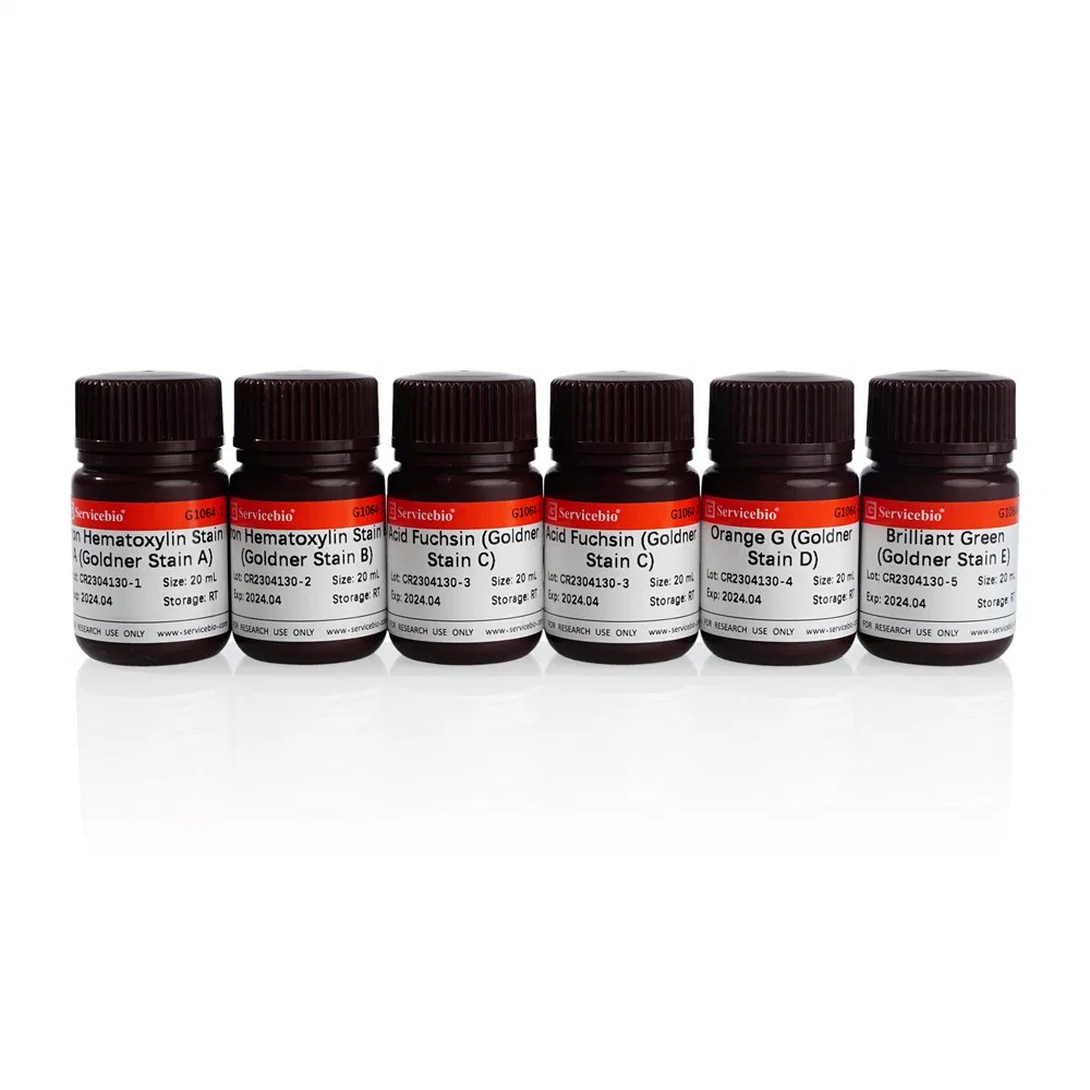 Goldner ThreeColor Staining Solution for Bone Tissue Slides China