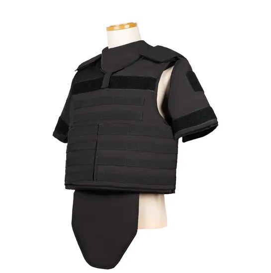 Tactical Body Armor Nij Iiia Molle Full Protection Ballistic Vest