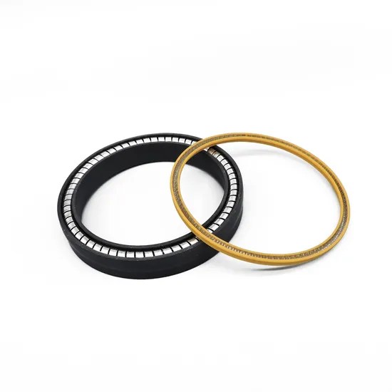 Spring Energized PTFE Seal Rod Piston Seal Face Seal Flanged Rotary