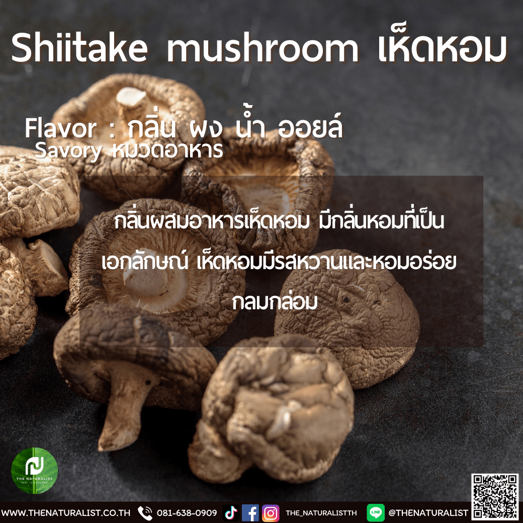 เห็ดหอม Shiitake Mushroom Flavor thenaturalist