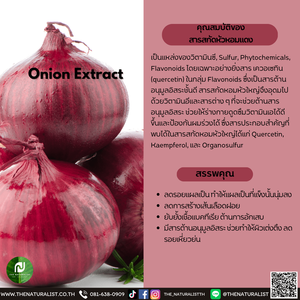 สารสกัดหัวหอมแดง Onion Extract / Shallot Extract thenaturalist
