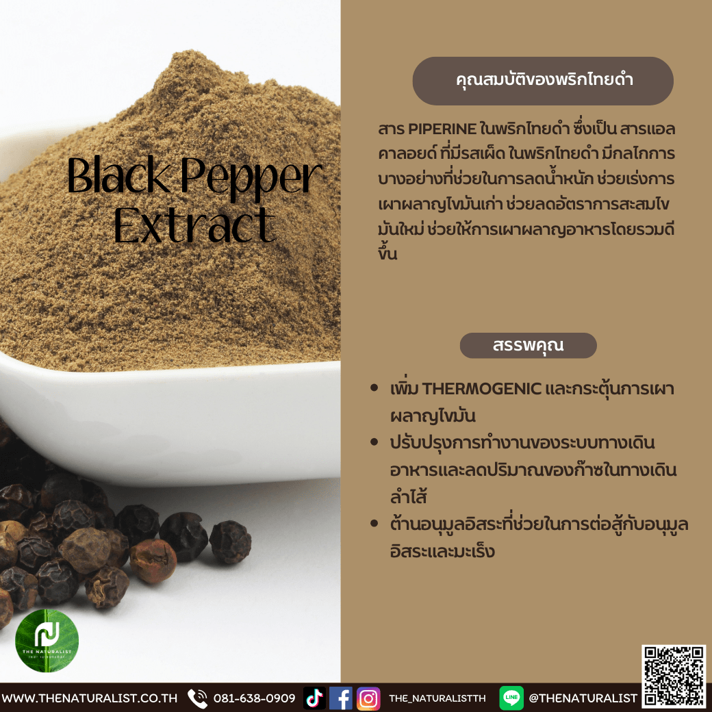 พริกไทยดำ Black Pepper Extract thenaturalist