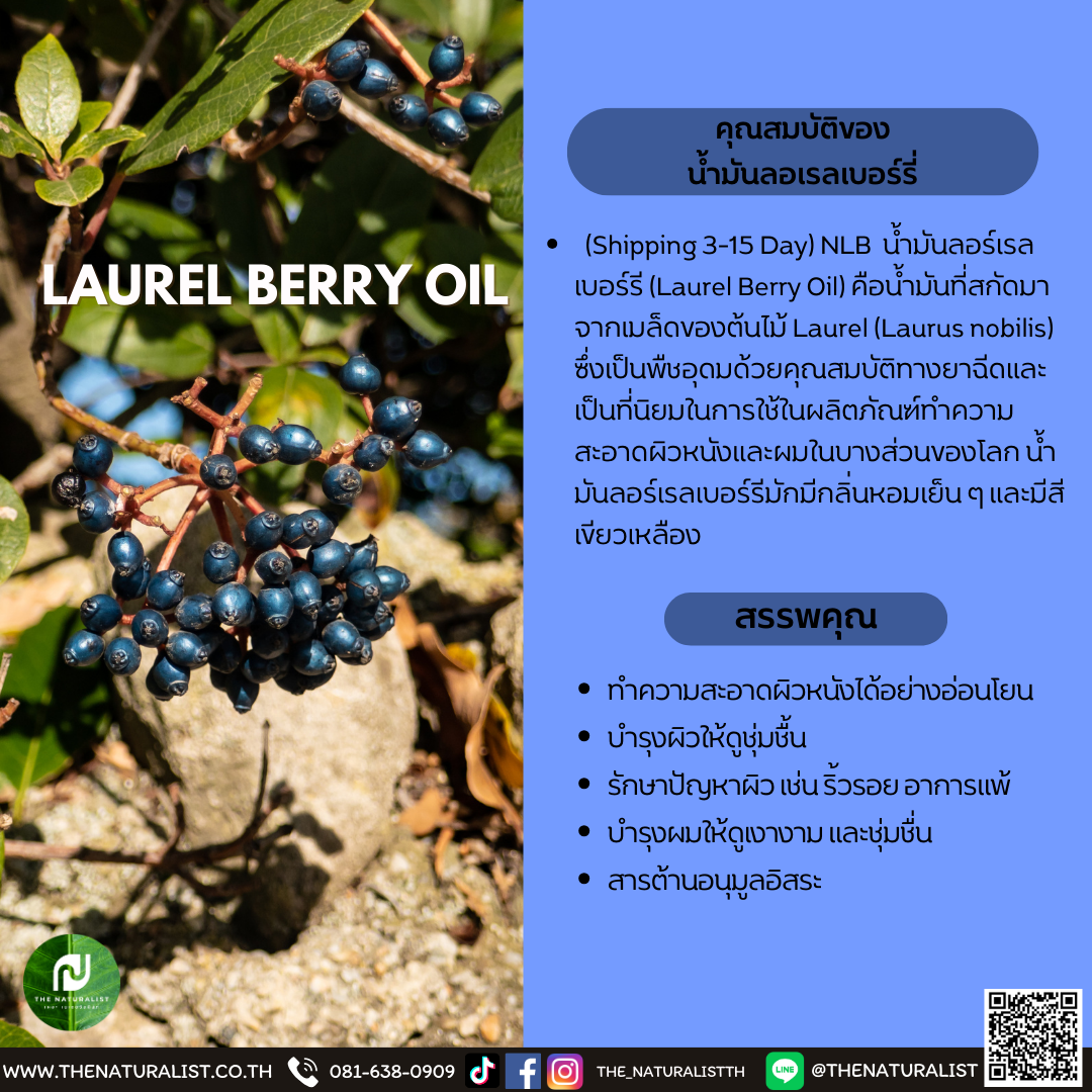 น้ำมันลอเรลเบอร์รี่ LAUREL BERRY OIL thenaturalist