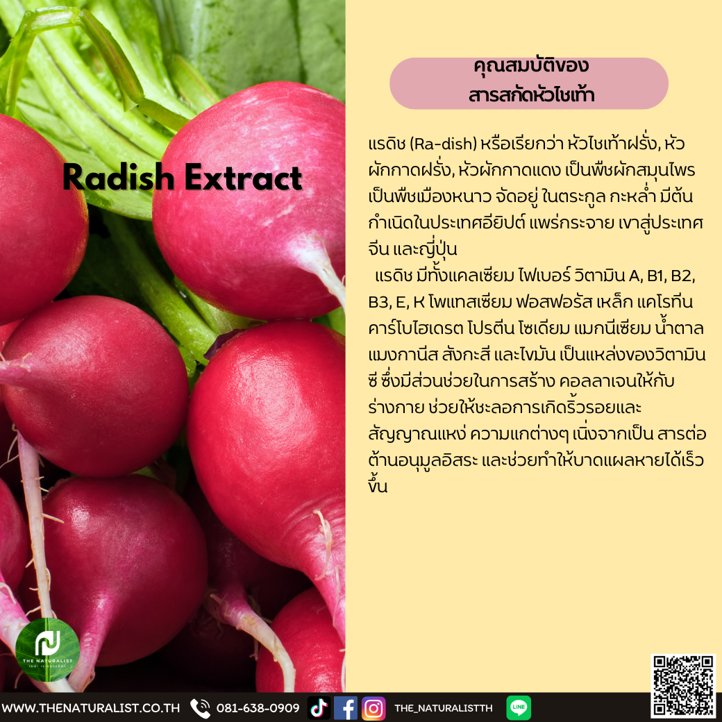 CMP,SHB สารสกัดหัวไชเท้า Radish Extract thenaturalist