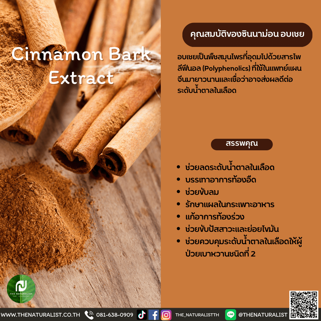 ซินนาม่อน อบเชย Cinnamon Bark Extract thenaturalist