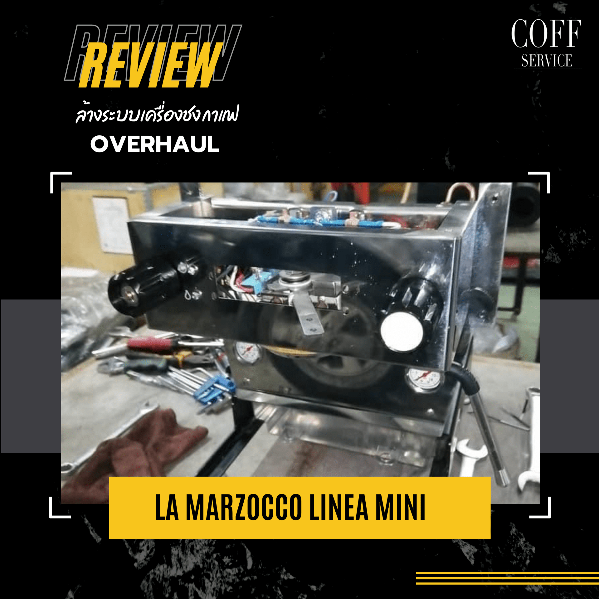 OverhaulLa marzocco Linea Mini pititorn
