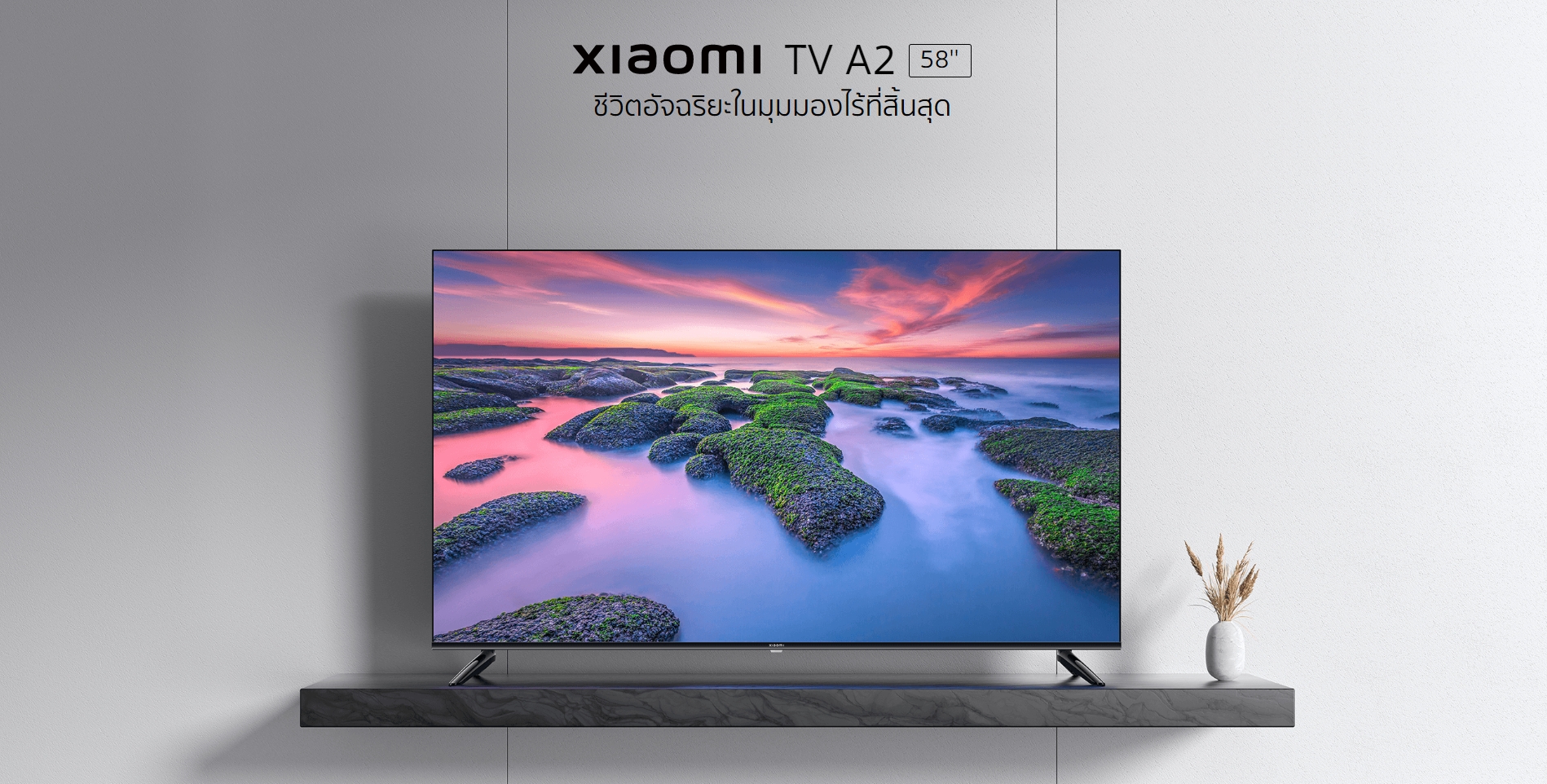 Xiaomi TV A2 58" dimi