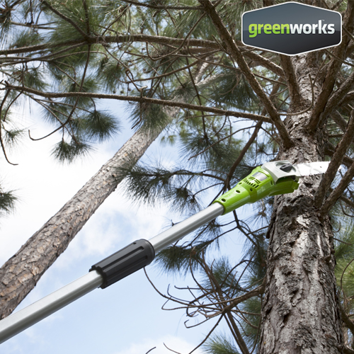 Greenworks Pole Saw 40V Including Battery and Charger Tigerbay