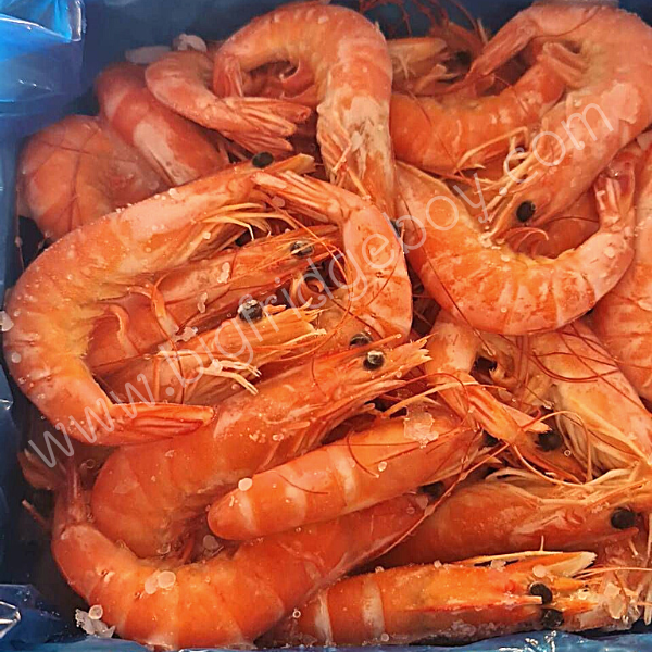 White Shrimp Whole (Boiled) (41/50 pcs/lb) 1 kg. bigfridgeboy