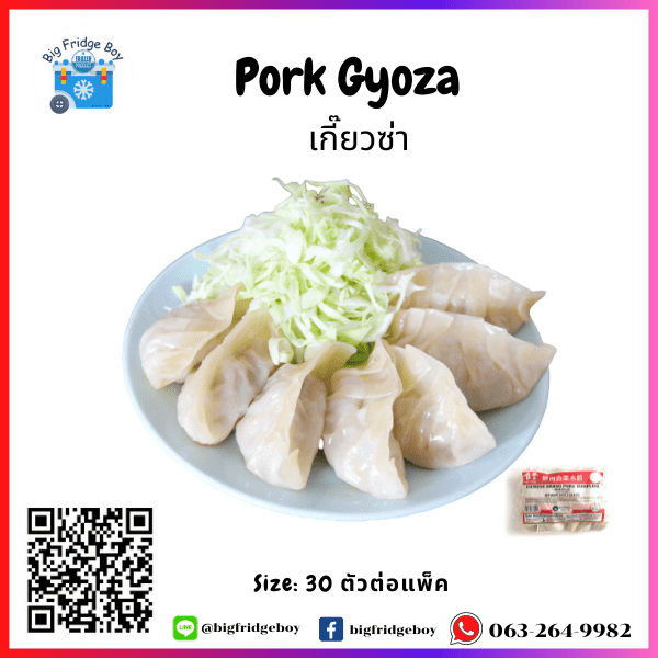 PORK GYOZA (30 pcs./pack) bigfridgeboy
