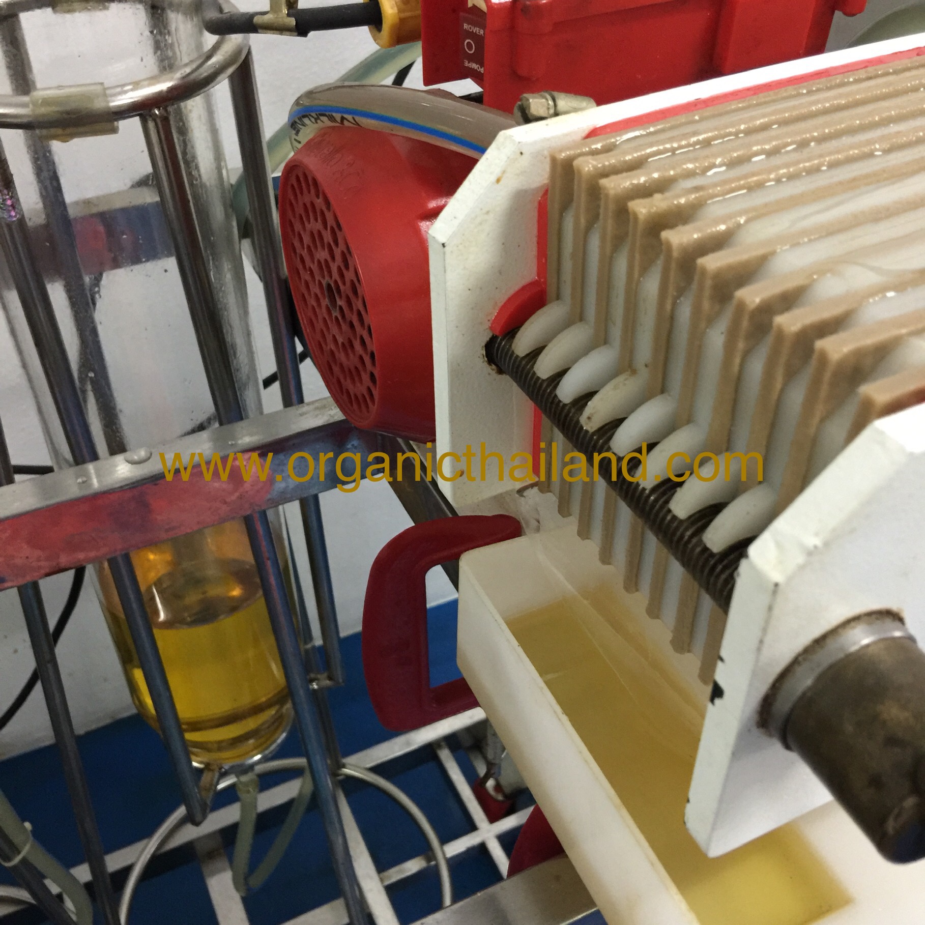 Cold Pressing Organicthailand