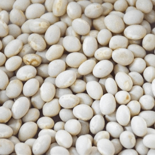 White Navy Bean mingvilaiagroimportexport